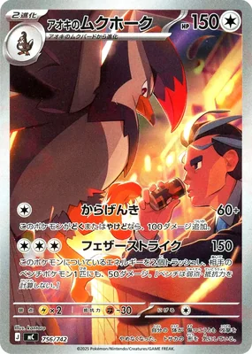 アオキのムクホーク