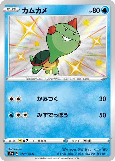 カムカメ