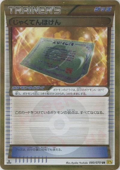じゃくてんほけん