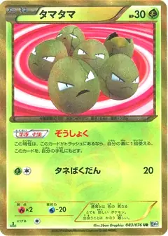 タマタマ