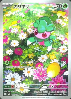 カリキリ