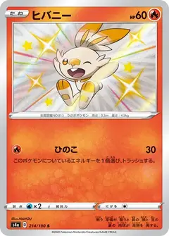ヒバニー