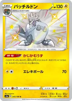 パッチルドン