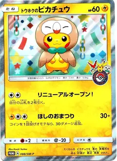 トウホクのピカチュウ