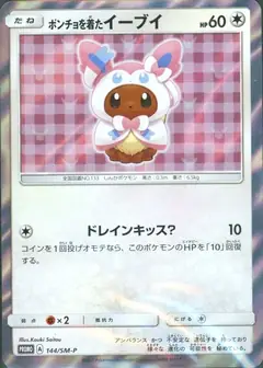 ポンチョを着たイーブイ
