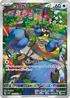 ココガラ